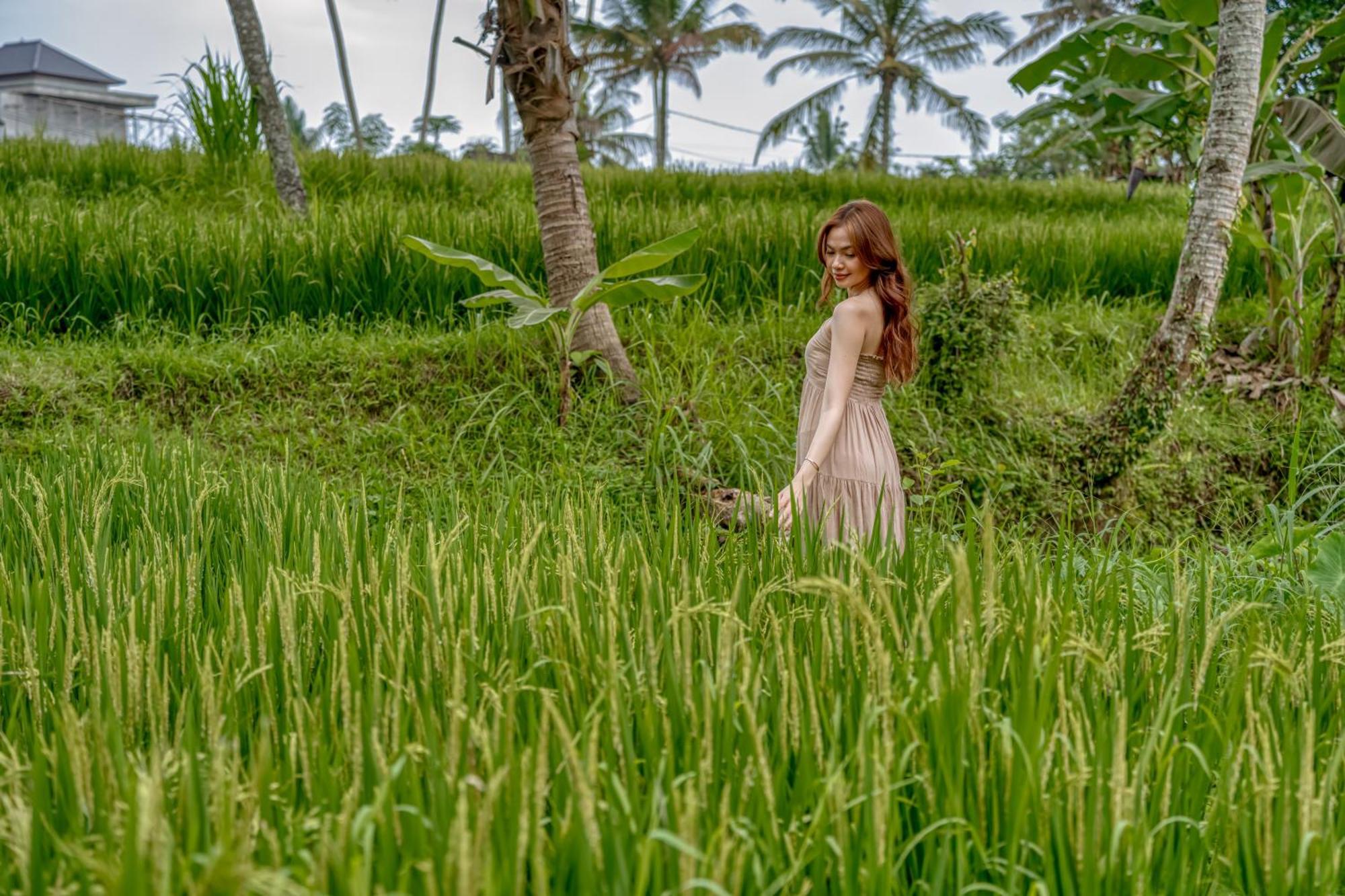 Bamboo Cabin Sanctuary By Nusantara Hospitality Ubud  Ngoại thất bức ảnh