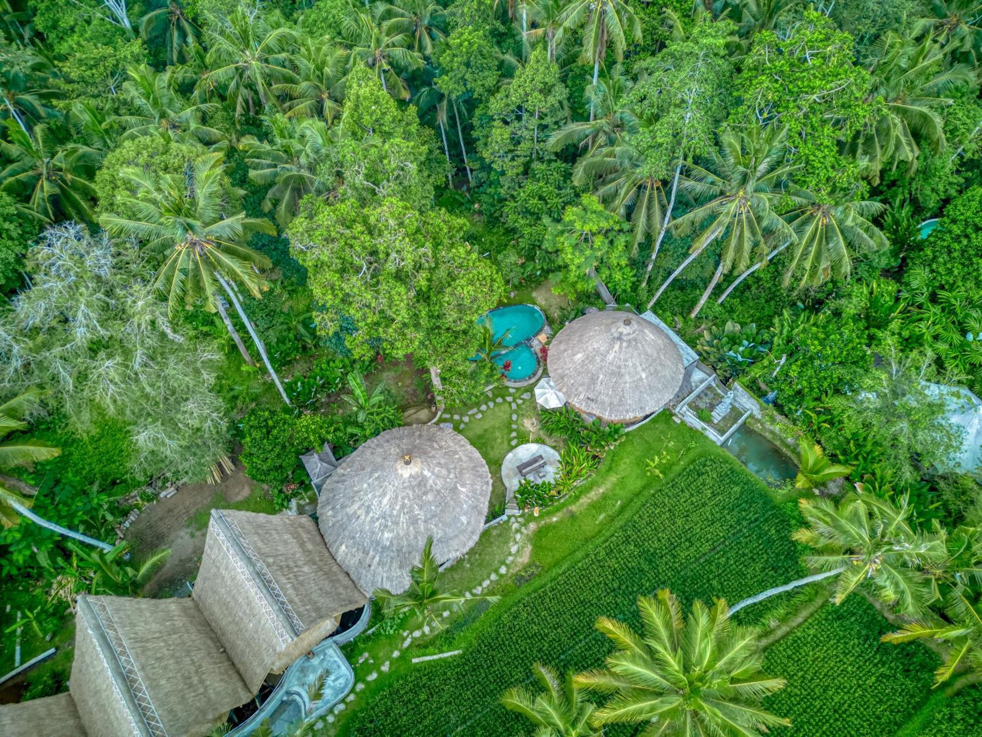 Bamboo Cabin Sanctuary By Nusantara Hospitality Ubud  Ngoại thất bức ảnh